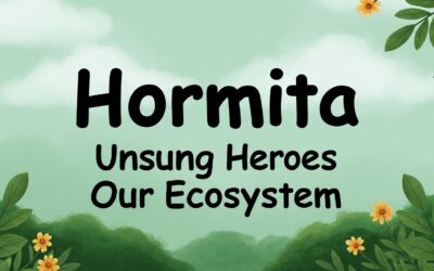 Hormita